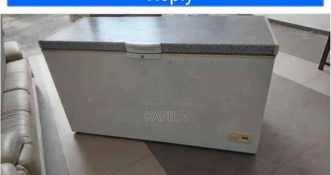 Beko Deep Freezer