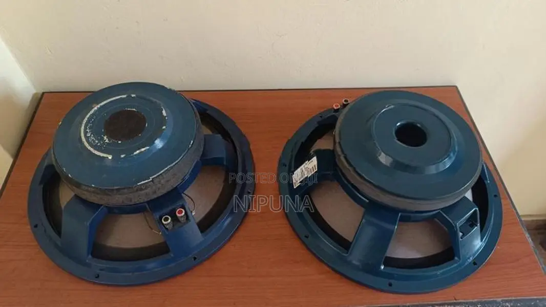 15 P Audio Speaker