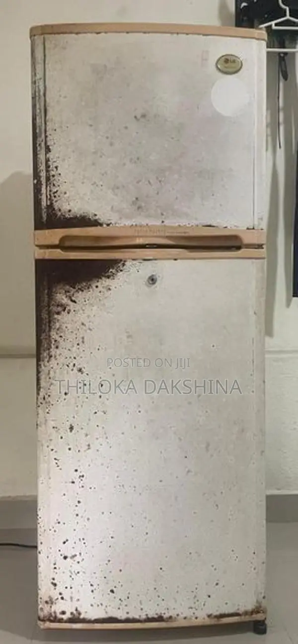 LG Refrigerator