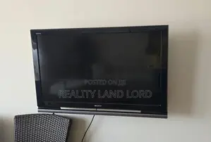 Sony Flatscreen 40'' Tv