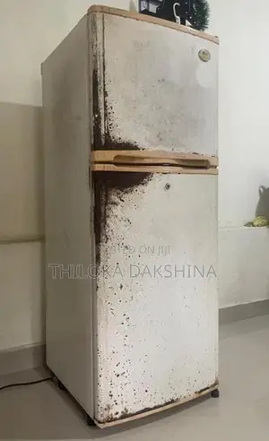 LG Refrigerator
