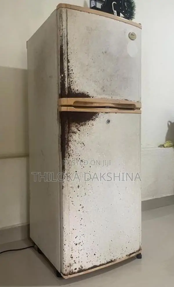 LG Refrigerator