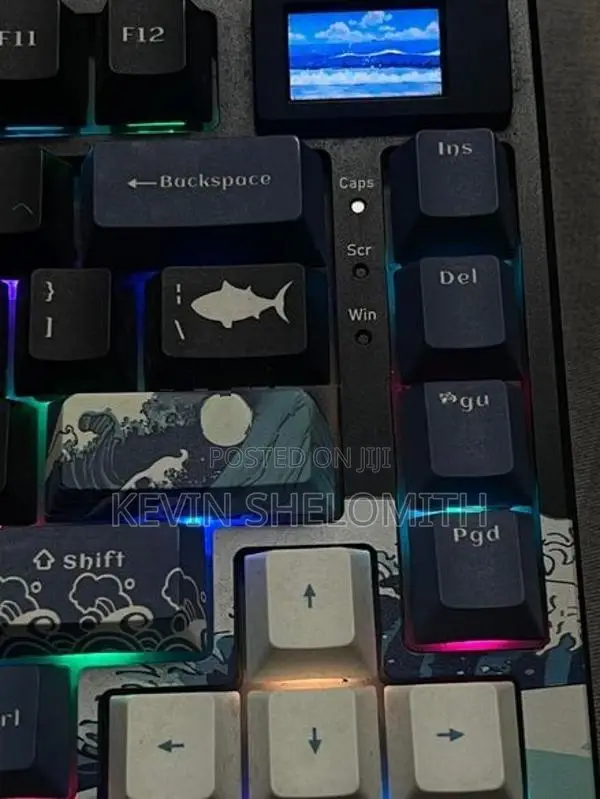 Womier