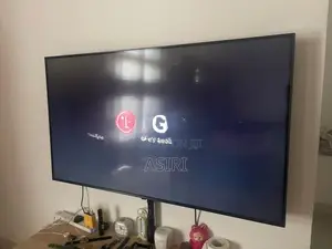 LG 55" TV