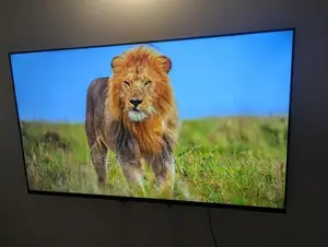 Singer 55" Smart TV
