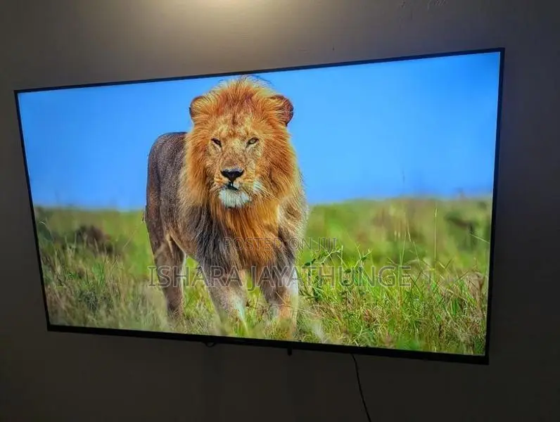 Singer 55" Smart TV