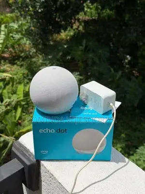 Amazon Alexa Echo Dot (4th Gen)