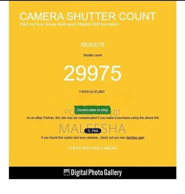 Sony a7iii camera