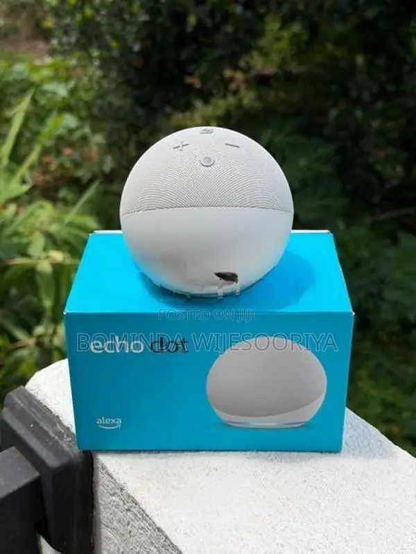 Amazon Alexa Echo Dot (4th Gen)
