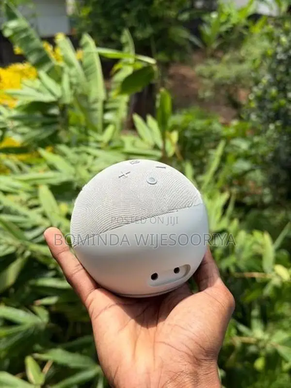 Amazon Alexa Echo Dot (4th Gen)