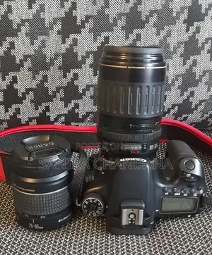 Canon D70 DSLR camera
