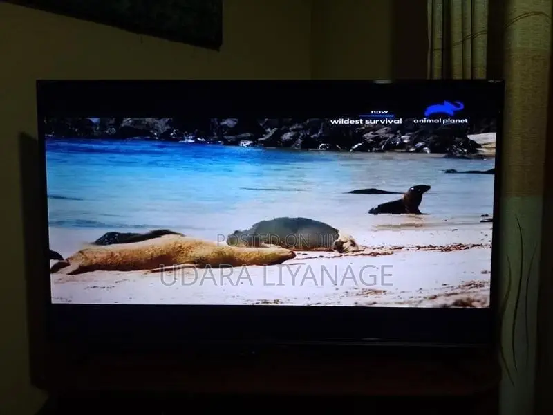Singer Stellar 4K UHD 55 inch TV