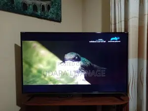 Singer Stellar 4K UHD 55 inch TV