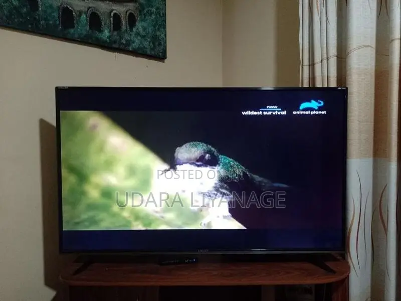 Singer Stellar 4K UHD 55 inch TV