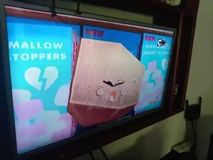 LG 32 TV
