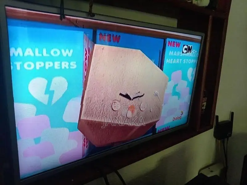 LG 32 TV