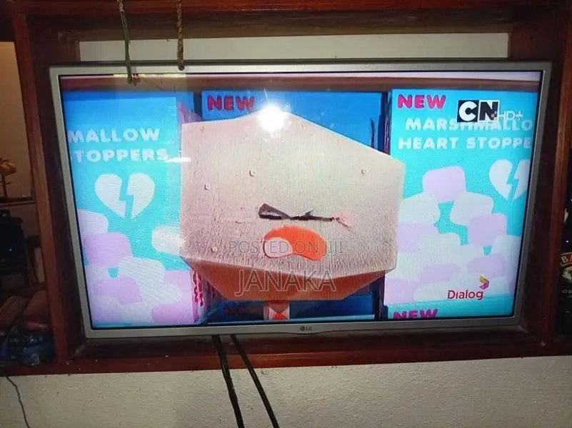 LG 32 TV