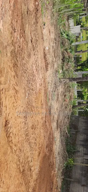 Land for Sale in Nittambuwa Kalalpitiya