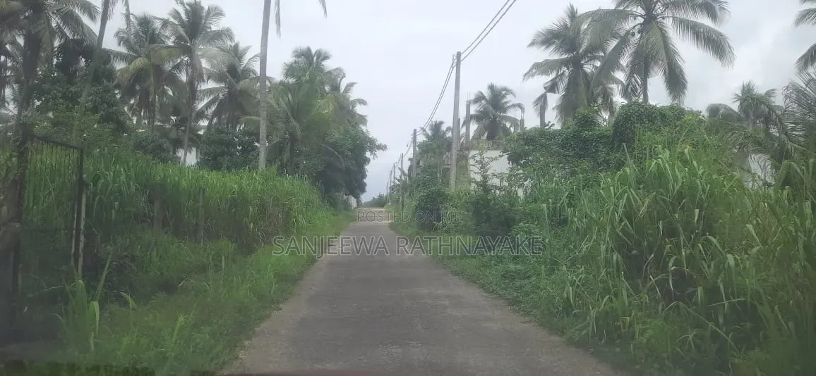 Land for Sale in Nittambuwa Kalalpitiya