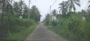 Land for Sale in Nittambuwa Kalalpitiya
