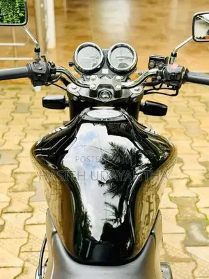Honda Hornet 2023 Motorbike (Used)