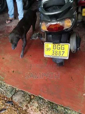 TVS Wego 2018 Motorbike (Used)