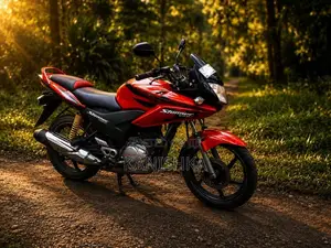 Honda Stunner 2010 Motorbike (Used)