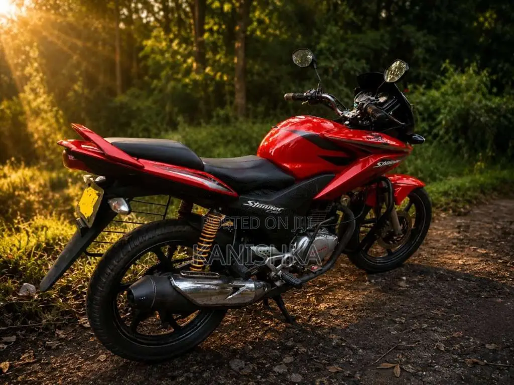 Honda Stunner 2010 Motorbike (Used)