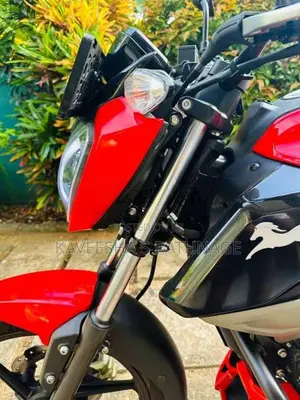 TVS Raider 125 2024 Motorbike (Used)