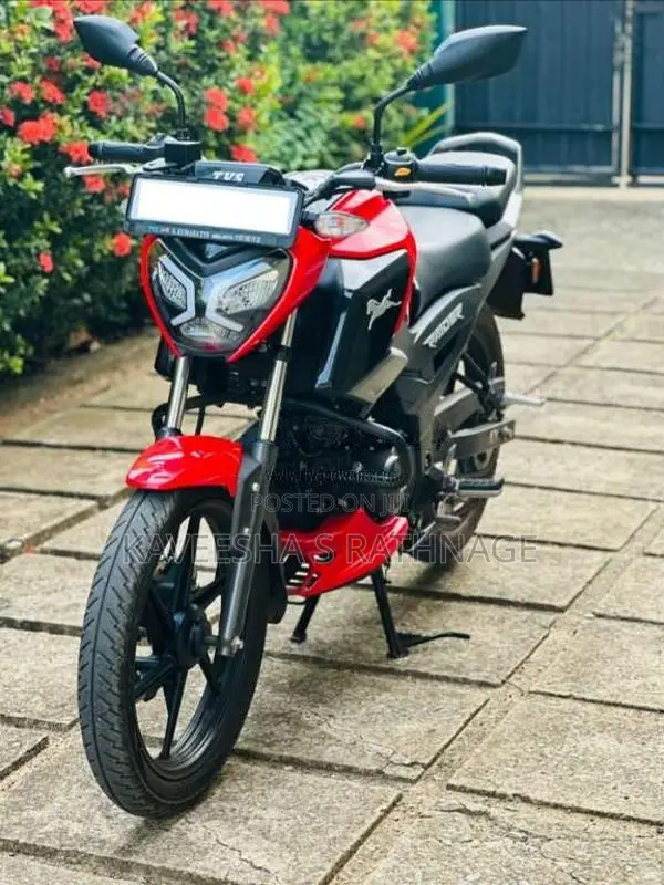 TVS Raider 125 2024 Motorbike (Used)