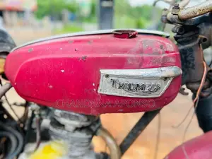Triumph Trophy 1980 Motorbike (Used)