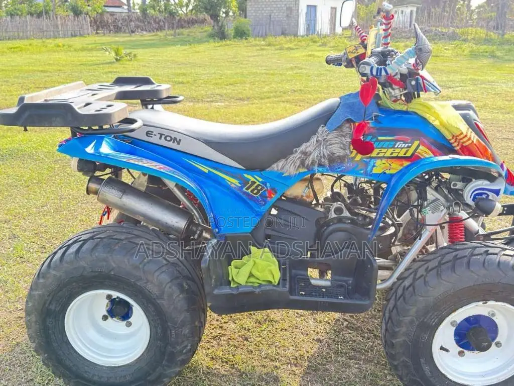 Other E-ton Atv 2023 Motorbike Unregistered (Recondition)
