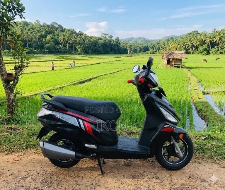 Hero Maestro Edge 2019 Motorbike (Used)