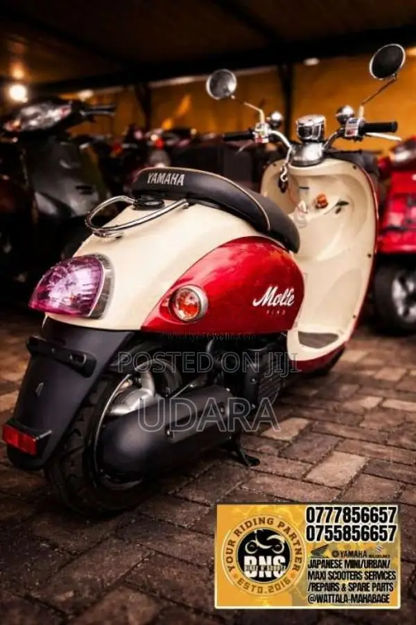 Yamaha Japan Vino Molfe 2024 Motorbike Unregistered (Recondition)