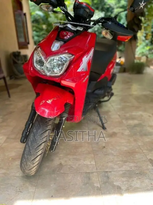 Dyno Scooby 2025 Motorbike (Used)