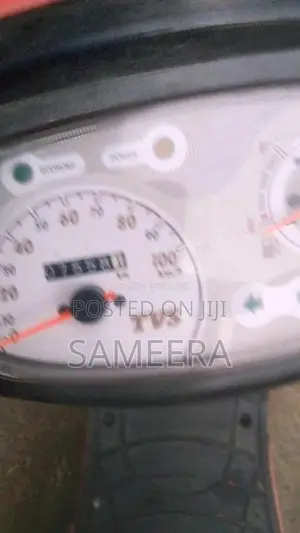 TVS Scooty Pep Plus 2019 Motorbike (Used)