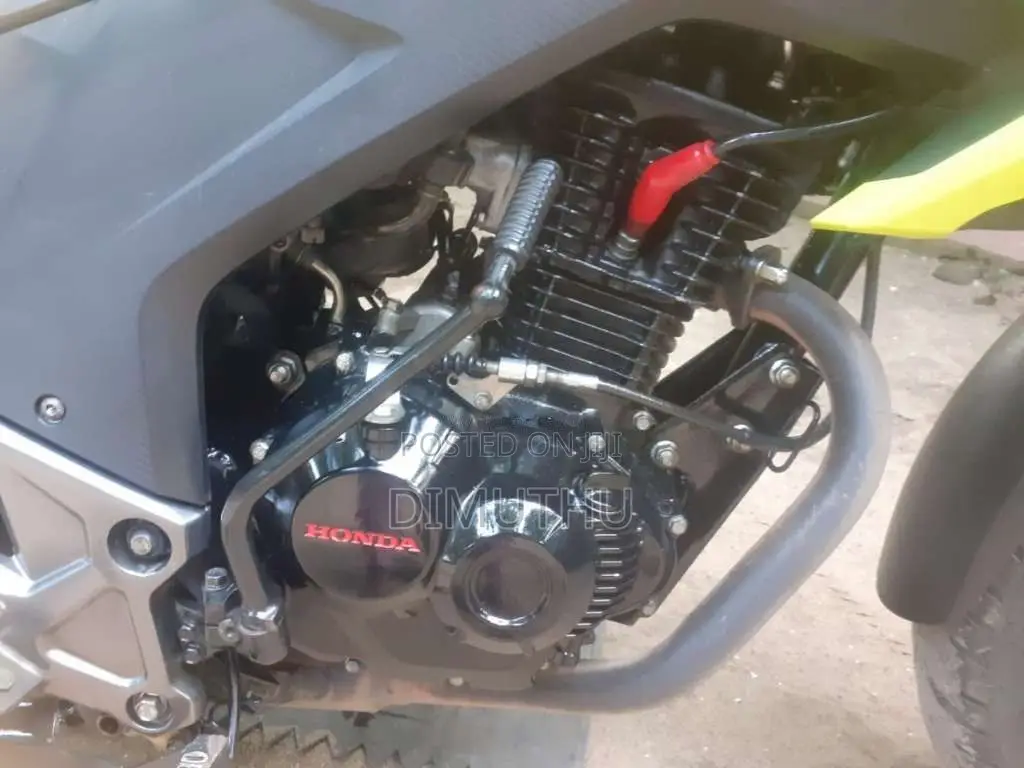 Honda Hornet 2019 Motorbike (Used)