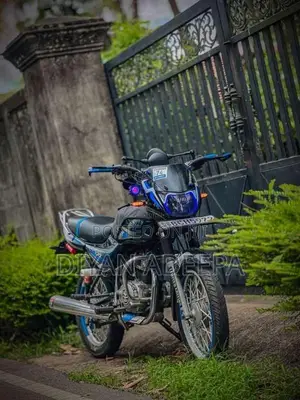 Bajaj CT-100 2015 Motorbike (Used)