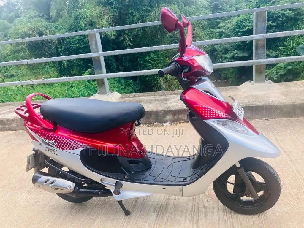 TVS Scooty Pep Plus 2018 Motorbike (Used)