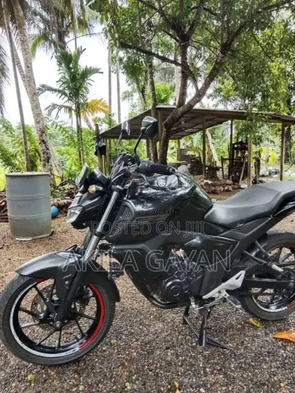 Yamaha FZ 2019 Motorbike (Used)
