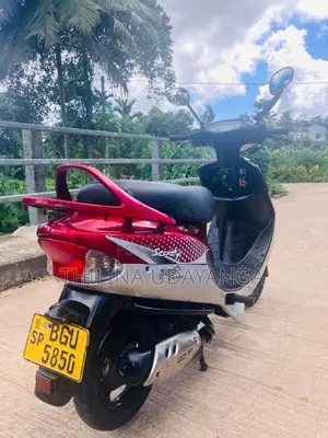 TVS Scooty Pep Plus 2018 Motorbike (Used)