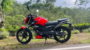 TVS Raider 2025 Motorbike (Used)