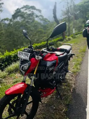 TVS Raider 2025 Motorbike (Used)