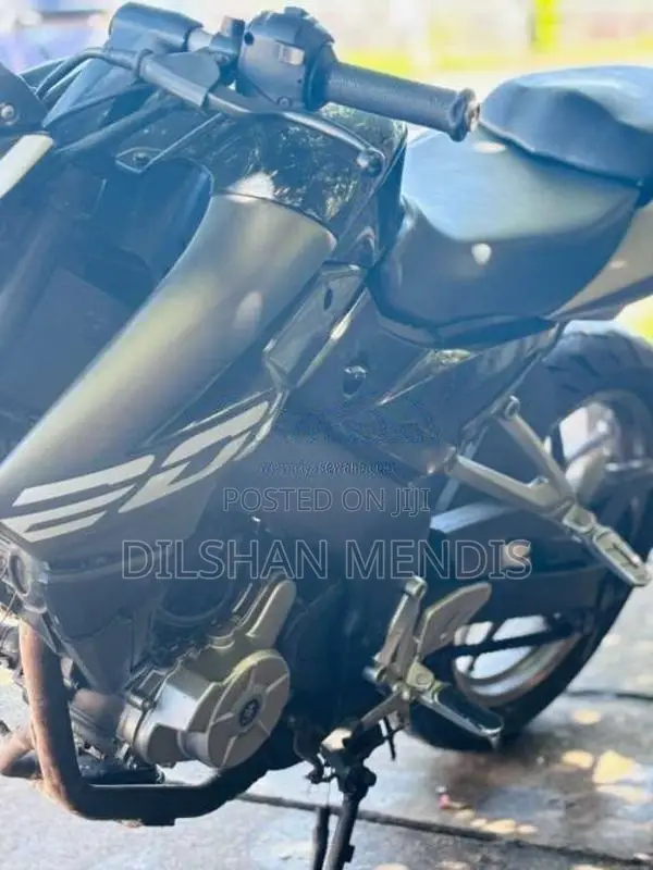 Bajaj Pulsar NS200 2017 Motorbike (Used)
