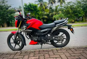 TVS Raider 2025 Motorbike (Used)
