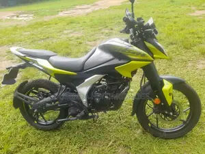 Bajaj Pulsar 2025 Motorbike (Used)