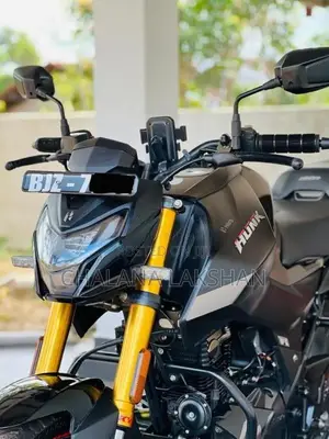 Hero Hunk 160R 4V 2025 Motorbike (Used)