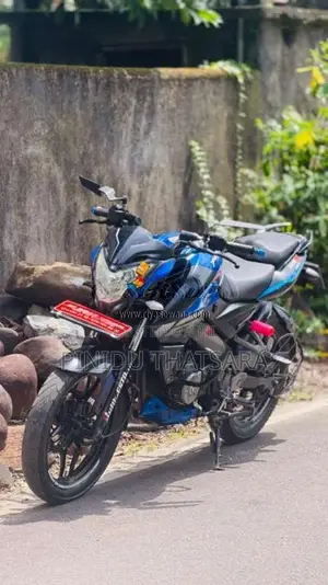 Bajaj Pulsar Ns 160 2017 Motorbike (Used)
