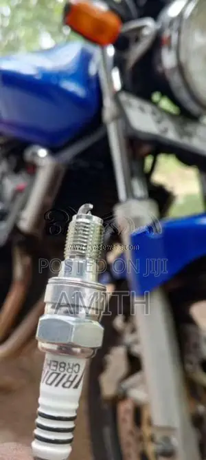 Honda Hornet 2024 Motorbike (Used)