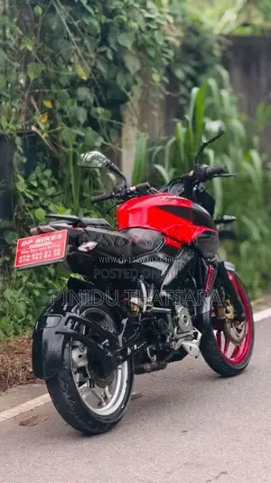 Bajaj Pulsar NS200 2017 Motorbike (Used)